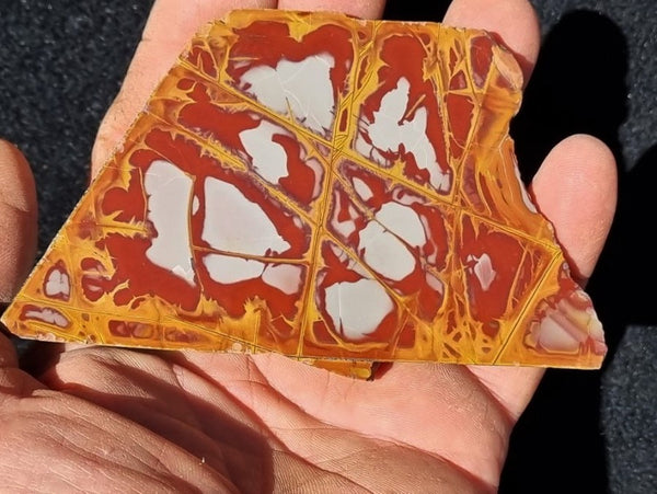 Polished Noreena Jasper slab. NJ407