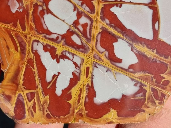 Polished Noreena Jasper slab. NJ407