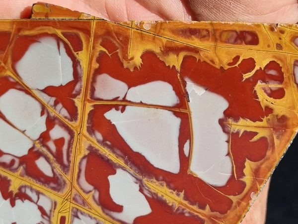 Polished Noreena Jasper slab. NJ407