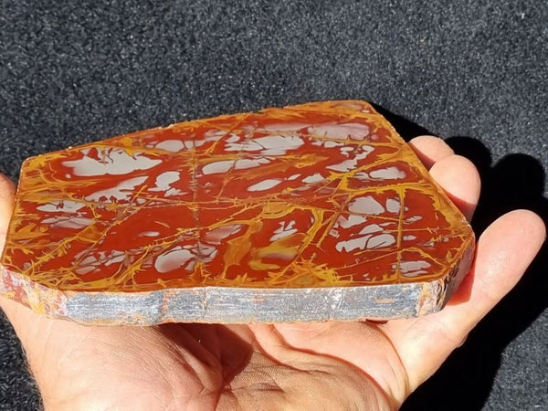 Polished Noreena Jasper slab. NJ409