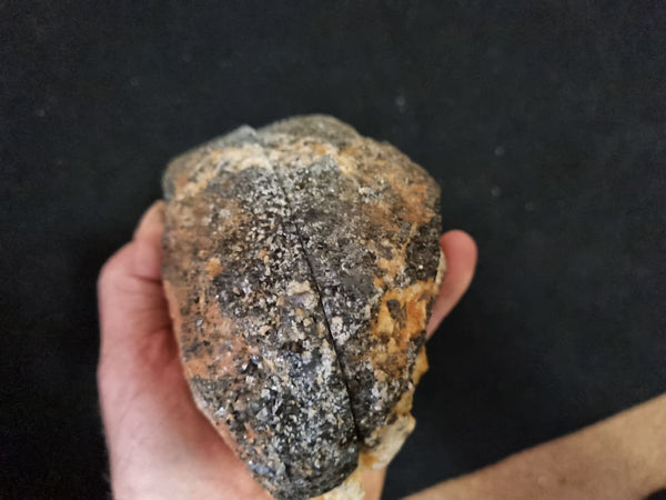 Pair of polished Orbicular Granite. OG166