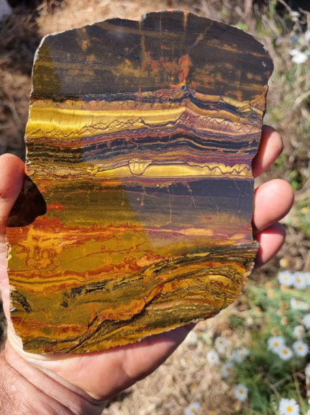 Polished Tiger Eye slab TE339