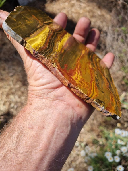 Polished Tiger Eye slab TE339