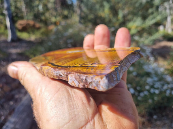 Polished Tiger Eye slab TE340