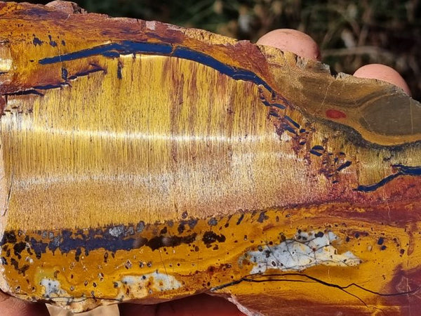 Polished Tiger Eye slab TE340