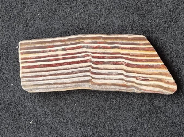 Polished Snakeskin Jasper slab SS154