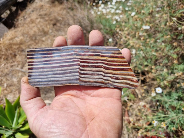 Polished Snakeskin Jasper slab SS154