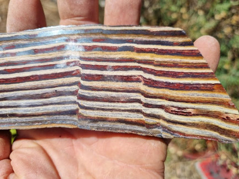 Polished Snakeskin Jasper slab SS154