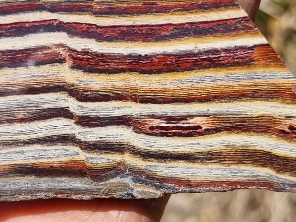 Polished Snakeskin Jasper slab SS154