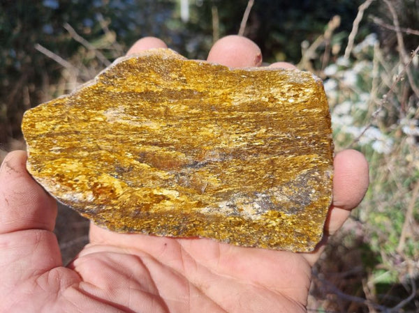 Polished Golden Amphibolite slab GA123