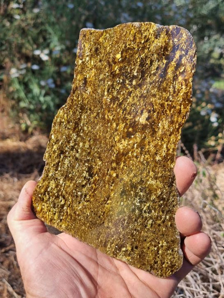 Polished Golden Amphibolite slab GA124