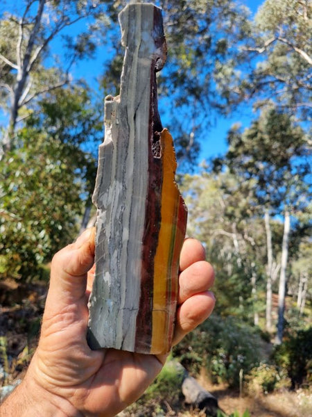 Sunset Jasper polished slab SU139