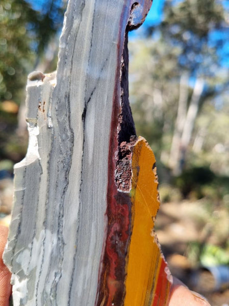 Sunset Jasper polished slab SU139