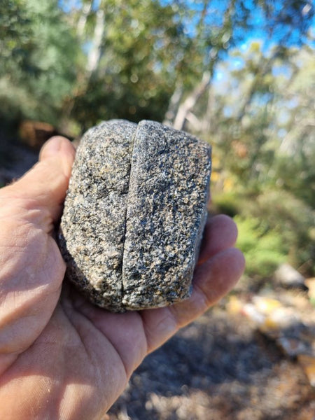 Pair of polished Orbicular Granite. OG168