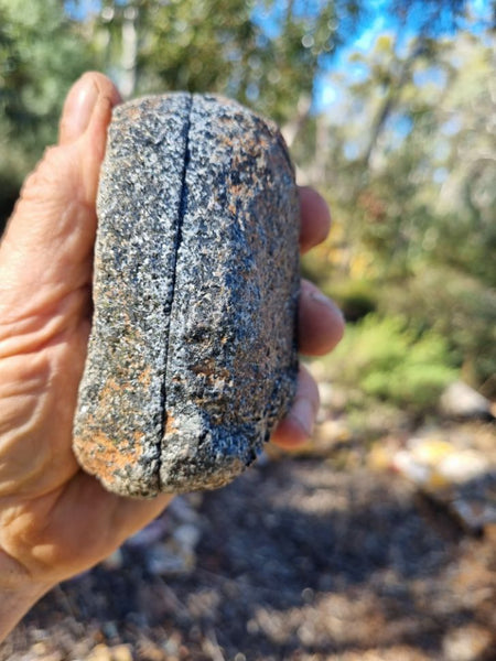 Pair of polished Orbicular Granite. OG169