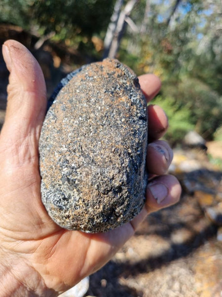 Pair of polished Orbicular Granite. OG169