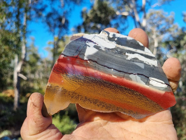 Sunset Jasper polished slab SU130