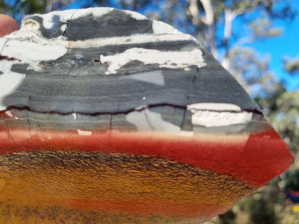 Sunset Jasper polished slab SU130