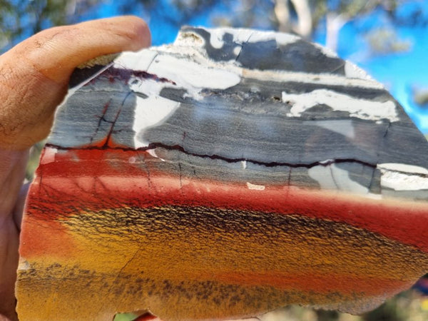 Sunset Jasper polished slab SU130