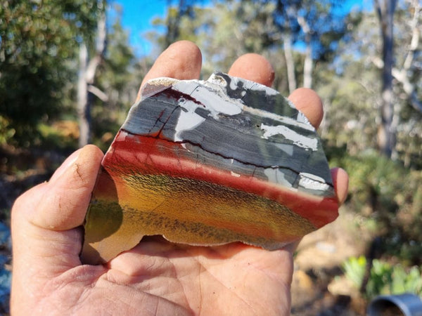 Sunset Jasper polished slab SU130