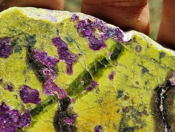 Polished Stichtite in Serpentine (Atlantisite) slab STI134