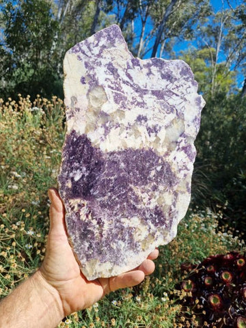 Polished Lepidolite slab LEP225