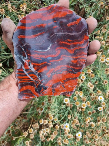 Starry Jasper polished slab SJ121