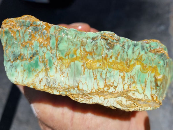 Variscite rough.  VR 355