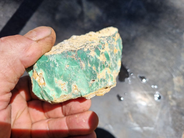 Variscite rough.  VR 356