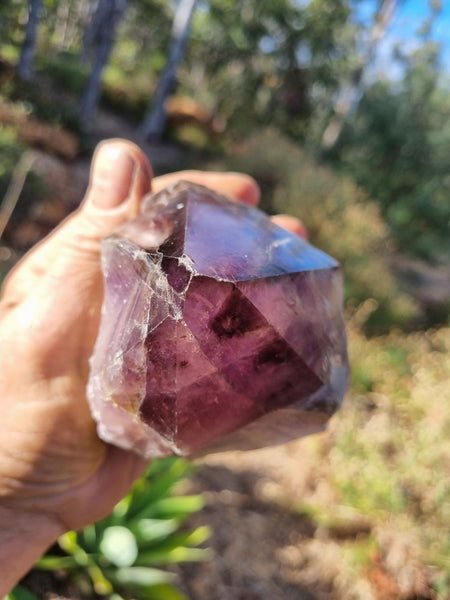 Wyloo Amethyst crystal . AM121