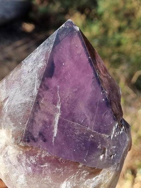 Wyloo Amethyst crystal . AM121