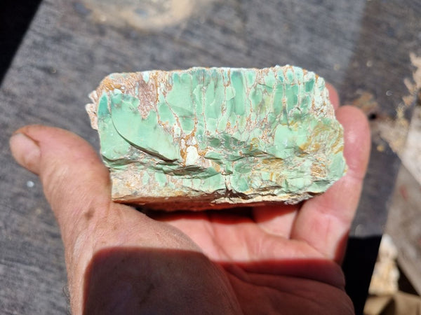 Variscite rough.  VR 365