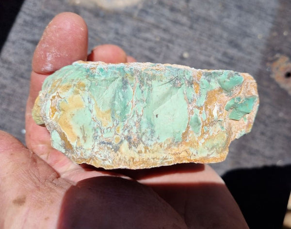 Variscite rough.  VR 365