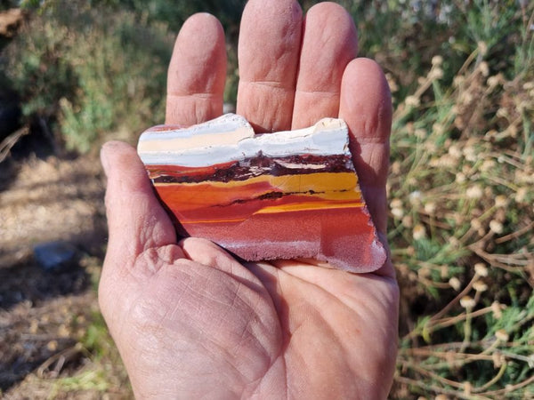 Sunset Jasper polished slab SU131