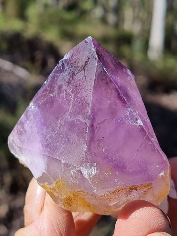 Wyloo Amethyst crystal . AM116