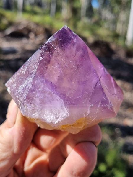 Wyloo Amethyst crystal . AM116