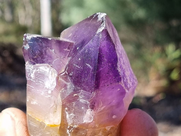 Wyloo Amethyst crystal . AM117
