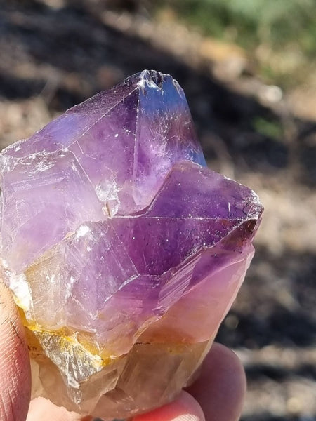 Wyloo Amethyst crystal . AM117