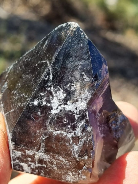 Wyloo Amethyst crystal . AM118