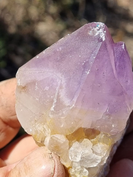 Wyloo Amethyst crystal . AM119