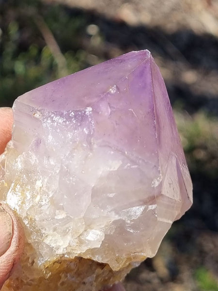 Wyloo Amethyst crystal . AM119