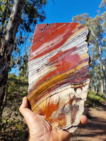 Sunset Jasper polished slab SU132