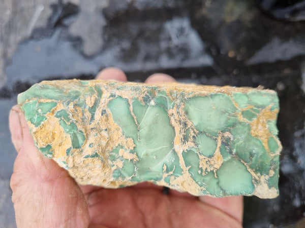 Variscite rough.  VR 377