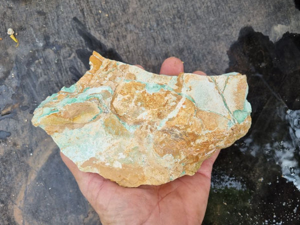 Variscite rough.  VR 390