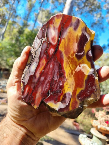 Polished Mookaite slab MK323