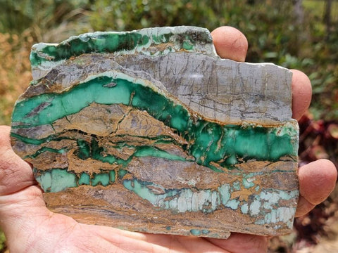 Variscite Polished Slab.  VP 245