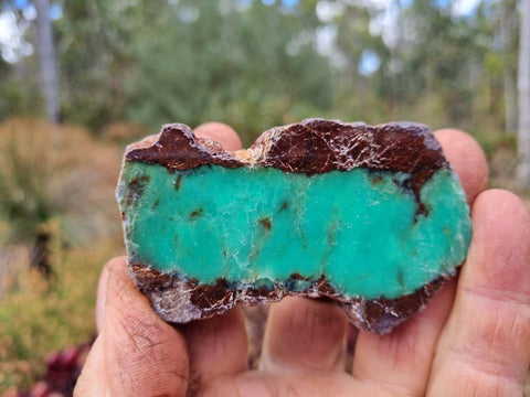 Polished Chrysoprase CH395