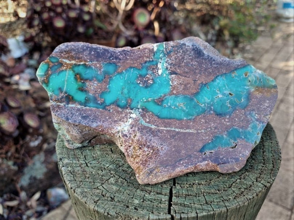 Polished Chrysoprase CH398