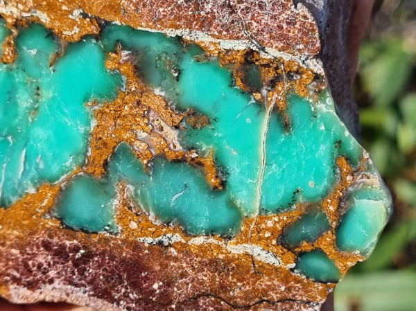 Polished Chrysoprase CH398