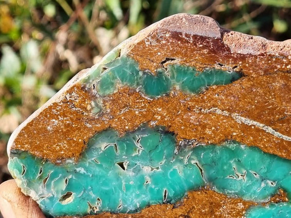 Polished Chrysoprase CH398